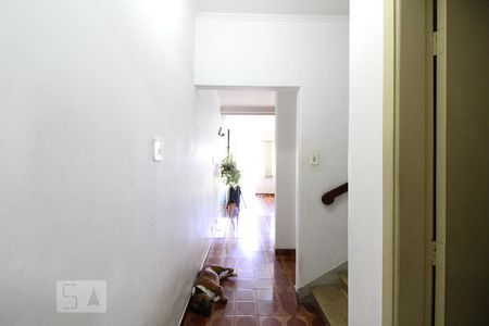 Corredor do Andar de Baixo de casa à venda com 3 quartos, 178m² em Jardim da Glória, São Paulo