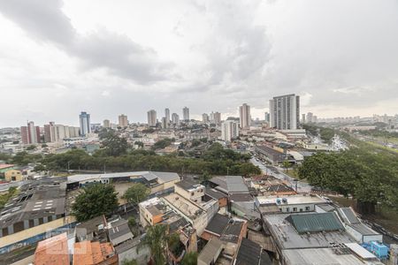 Vista Quarto 1 de apartamento para alugar com 2 quartos, 52m² em Vila Guilhermina, São Paulo