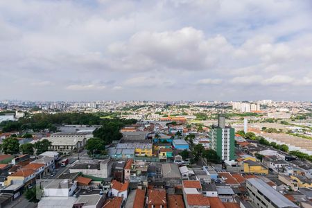 Vista de apartamento para alugar com 2 quartos, 53m² em Vila Liviero, São Paulo