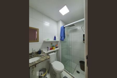 Banheiro de apartamento para alugar com 2 quartos, 51m² em Jardim Santa Emilia, São Paulo