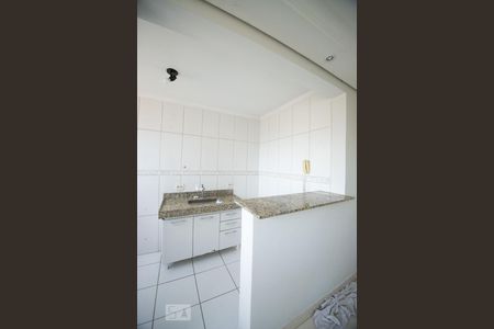 cozinha de apartamento à venda com 2 quartos, 47m² em Jardim Santa Lúcia, Campinas