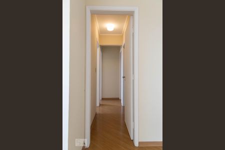 Corredo de apartamento para alugar com 3 quartos, 76m² em Vila Prudente, São Paulo