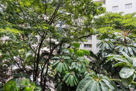 Vista de apartamento para alugar com 1 quarto, 36m² em Vila Uberabinha, São Paulo