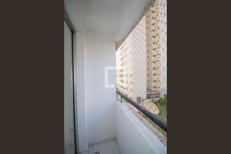 Varanda da Sala de apartamento para alugar com 3 quartos, 77m² em Freguesia do Ó, São Paulo