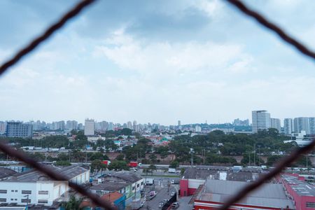 Vista do apartamento de apartamento para alugar com 2 quartos, 73m² em Piqueri, São Paulo