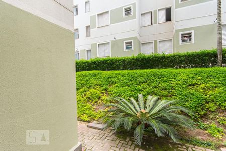 Vsta de apartamento para alugar com 2 quartos, 58m² em Jardim Nova Europa, Campinas