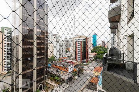 Vista de apartamento para alugar com 1 quarto, 52m² em Moema, São Paulo