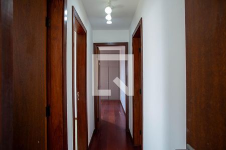 Corredor de apartamento para alugar com 3 quartos, 80m² em Sagrada Família, Belo Horizonte