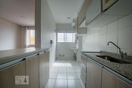 Cozinha de apartamento para alugar com 2 quartos, 45m² em Vila Nova Cachoeirinha, São Paulo