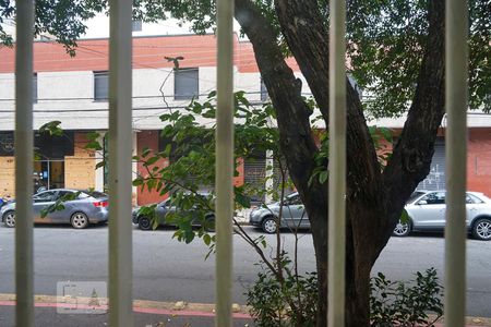 Casa para alugar com 240m², 5 quartos e 2 vagas Casa para alugar com 240m², 5 quartos e 2 vagasVista do Quarto 2