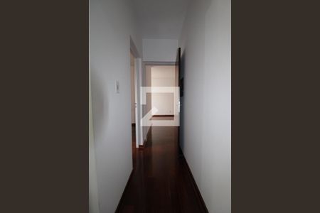 Corredor de apartamento para alugar com 2 quartos, 95m² em Cambuí, Campinas