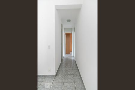 Corredor de apartamento para alugar com 2 quartos, 56m² em Vila Ivone, São Paulo