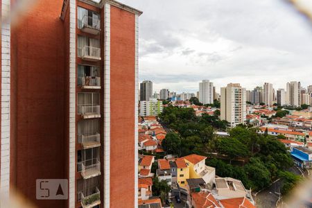 Vista de apartamento para alugar com 3 quartos, 120m² em Chácara Inglesa, São Paulo