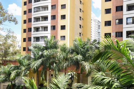 Vista de apartamento à venda com 2 quartos, 70m² em Vila Andrade, São Paulo