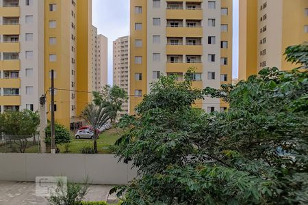 Vista do Quarto 1 de apartamento à venda com 2 quartos, 56m² em Continental, Osasco