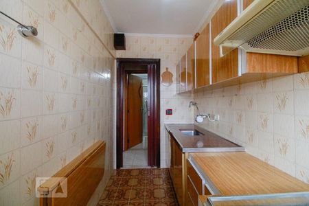 Apartamento para alugar com 37m², 1 quarto e sem vaga Apartamento para alugar com 37m², 1 quarto e sem vagaCozinha