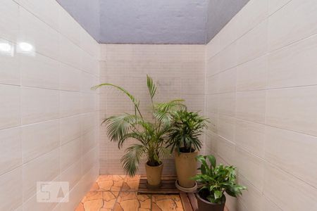 Jardim de Inverno de casa à venda com 3 quartos, 95m² em Cidade Patriarca, São Paulo