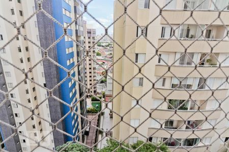 Vista do Quarto 1 de apartamento para alugar com 3 quartos, 58m² em Jardim das Laranjeiras, São Paulo