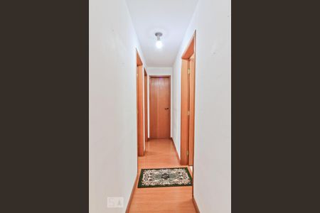 Corredor de apartamento à venda com 2 quartos, 60m² em Vila Pirituba, São Paulo