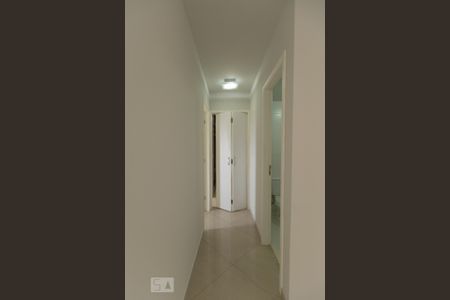 Corredor de apartamento para alugar com 2 quartos, 62m² em Vila Marieta, São Paulo