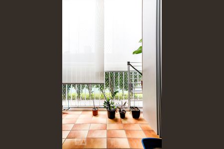Sacada de apartamento à venda com 3 quartos, 61m² em Vila Guilherme, São Paulo