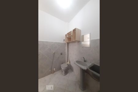 Banheiro Social de apartamento para alugar com 1 quarto, 40m² em Riachuelo, Rio de Janeiro