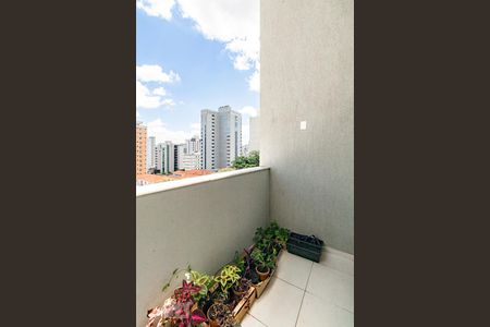 Varanda Sala de apartamento à venda com 2 quartos, 158m² em São Pedro, Belo Horizonte