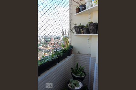 Sala - sacada de apartamento para alugar com 2 quartos, 56m² em Santa Terezinha, São Bernardo do Campo