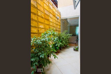 Jardim de Inverno de casa para alugar com 3 quartos, 180m² em Vila Scarpelli, Santo André