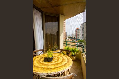 Sacada de apartamento à venda com 3 quartos, 248m² em Vila Gilda, Santo André