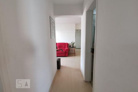 Corredor de apartamento para alugar com 3 quartos, 85m² em Vila Progredior, São Paulo