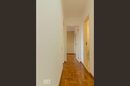 Corredor de apartamento para alugar com 2 quartos, 65m² em Vila Mariana, São Paulo