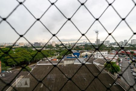 Vista do Quarto 1 de apartamento à venda com 3 quartos, 62m² em Piqueri, São Paulo