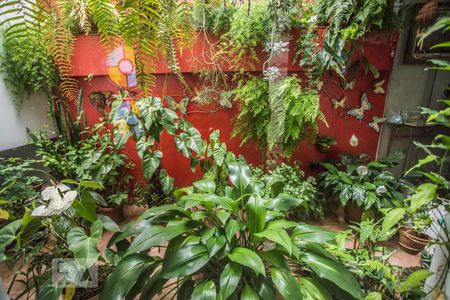 Jardim de inverno de casa para alugar com 3 quartos, 400m² em Jabaquara, São Paulo