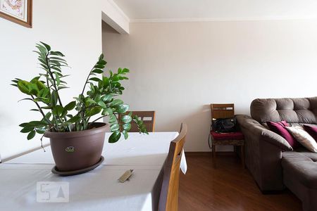Sala de apartamento à venda com 3 quartos, 79m² em Vila Yara, Osasco