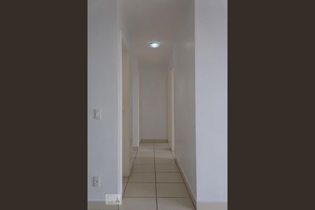 Corredor de apartamento para alugar com 3 quartos, 70m² em Jardim Guanabara, Belo Horizonte