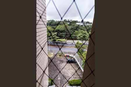 Vista da Sala de apartamento para alugar com 3 quartos, 75m² em Dom Cabral, Belo Horizonte