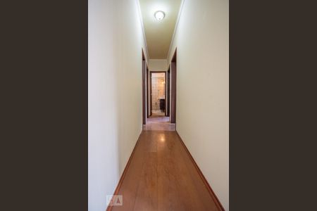 Corredor de apartamento à venda com 3 quartos, 78m² em Jardim Novo Campos Eliseos, Campinas