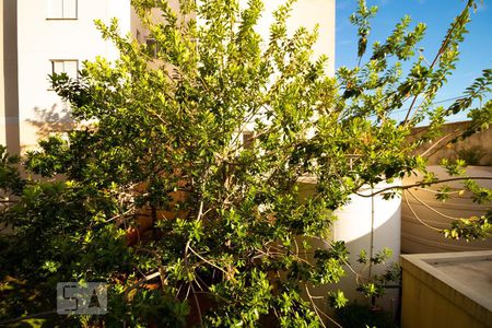 Vista da Suíte de apartamento à venda com 2 quartos, 70m² em Vila Costa E Silva, Campinas