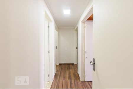 Corredor de apartamento para alugar com 3 quartos, 83m² em Cambuí, Campinas