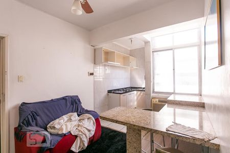 Sala/Cozinha de apartamento para alugar com 1 quarto, 34m² em Centro Histórico, Porto Alegre