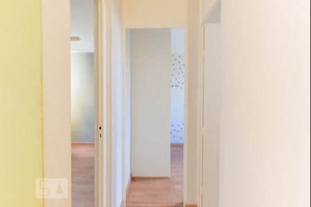 Corredor de apartamento à venda com 2 quartos, 50m² em Vila Padre Manoel de Nóbrega, Campinas