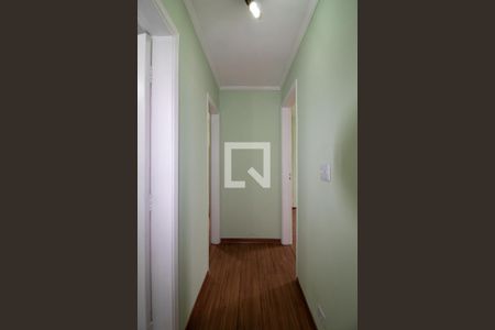 Corredor de apartamento para alugar com 3 quartos, 70m² em Butantã, São Paulo