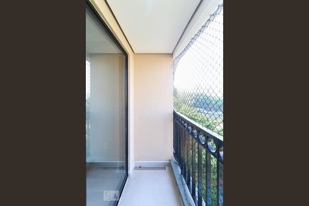 Varanda da Sala de apartamento para alugar com 2 quartos, 60m² em Jardim Bonfiglioli, São Paulo
