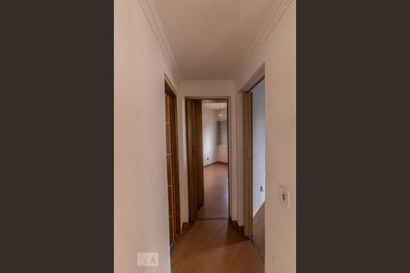 Corredor de apartamento para alugar com 2 quartos, 60m² em Vila Matilde, São Paulo