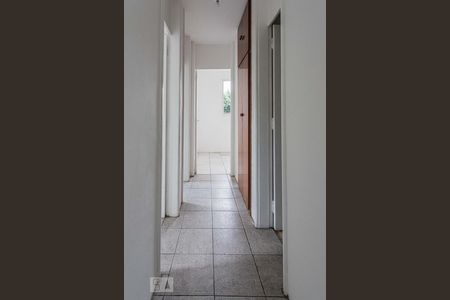 Corredor Acesso Dormitórios de apartamento para alugar com 3 quartos, 57m² em Vila Formosa, São Paulo