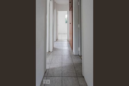 Corredor Acesso Dormitórios de apartamento à venda com 3 quartos, 57m² em Vila Formosa, São Paulo