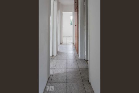 Corredor Acesso Dormitórios de apartamento para alugar com 3 quartos, 57m² em Vila Formosa, São Paulo