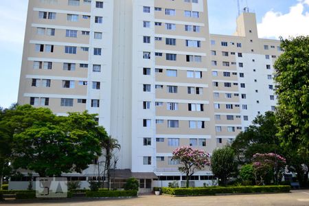 Vista Edificio de apartamento à venda com 3 quartos, 70m² em Cidade Antônio Estêvão de Carvalho, São Paulo