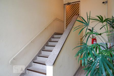 Apartamento para alugar com 75m², 2 quartos e sem vaga Apartamento para alugar com 75m², 2 quartos e sem vagaHall